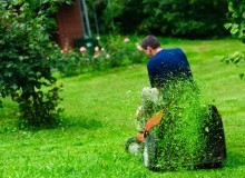 Kwikfynd Lawn Mowing
moonem
